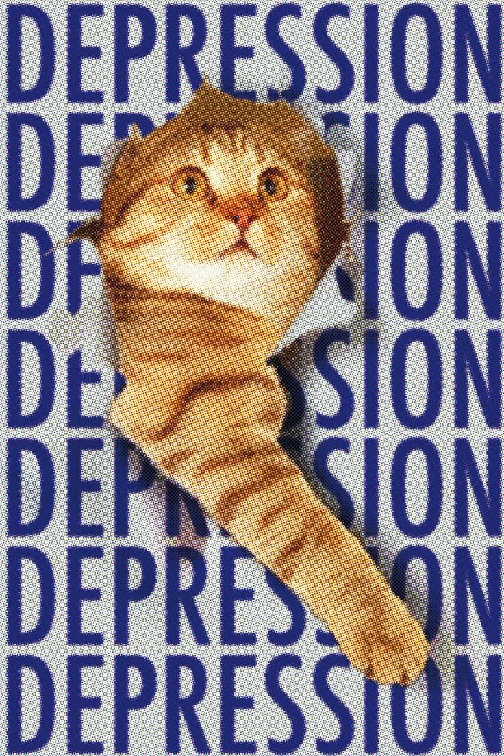 Кот сидит за компьютером